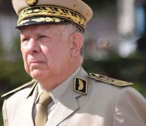 سعيد شنقريحة