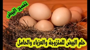 تفسير حلم البيض المسلوق والمقلي في المنام للحامل للمتزوجة و للبنت للعزباء