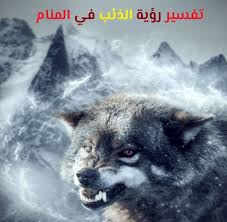 تفسير حلم الذئب