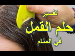 تفسير حلم القمل في المنام بالتفصيل