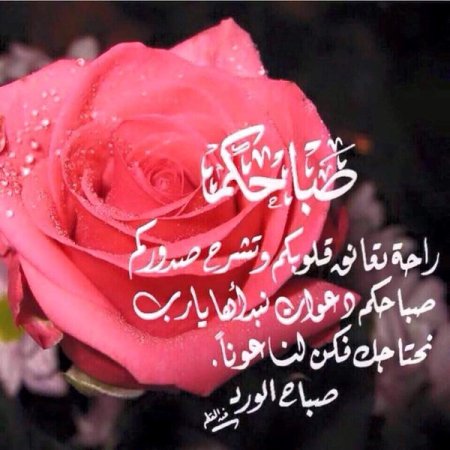 اجمل الصور الورد مع الكلمات 1