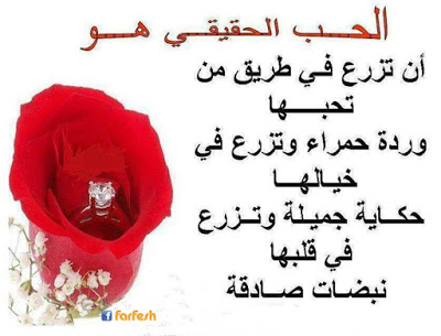 ما هو الحب الحقيقي بالصور 1
