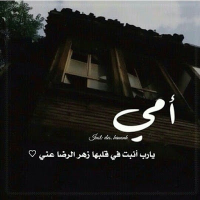 أجمل الصور المعبرة عن عيد الام 1