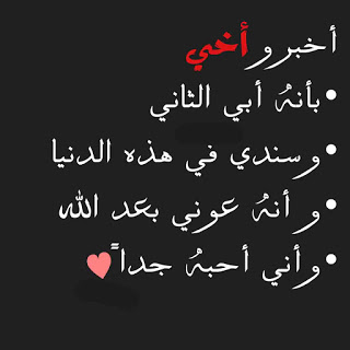 صور وعبارات عن الاخ 1