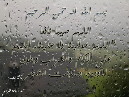 اجمل الصور والعبارات عن المطر 10