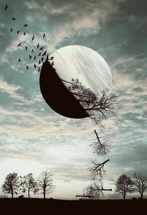 صور غريبة10