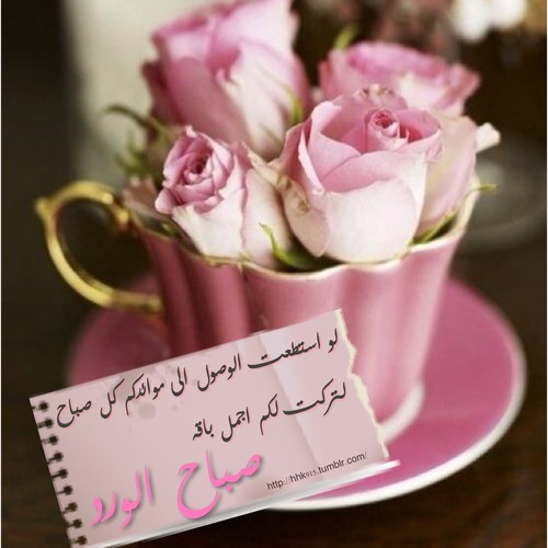 صباح الخير للحبيب بالصور5