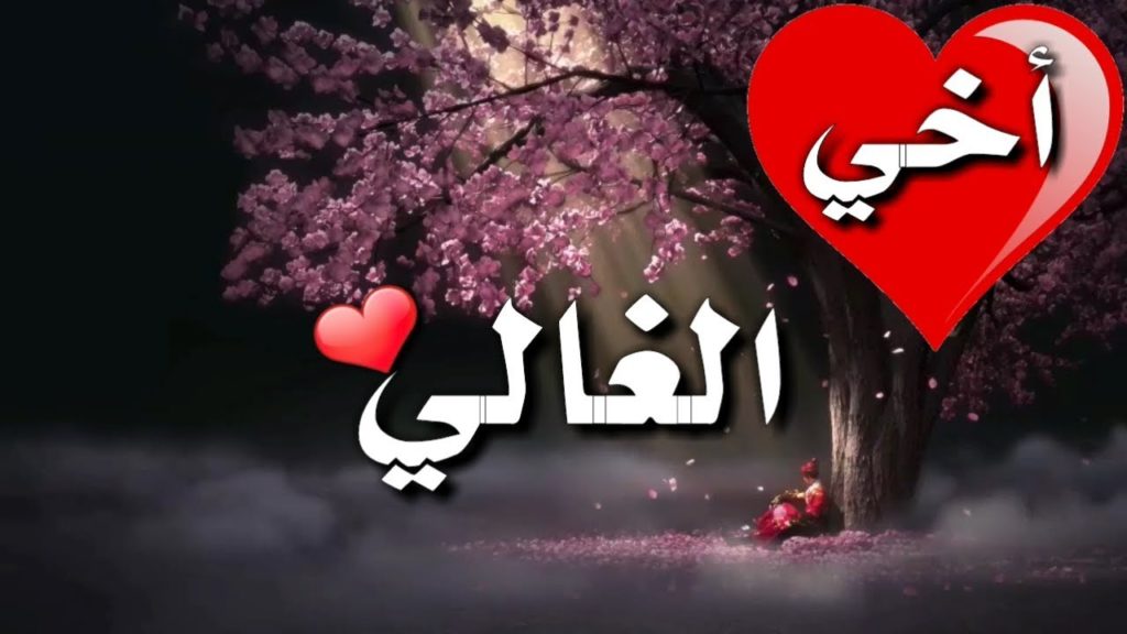 رمزيات عن الأخ 10