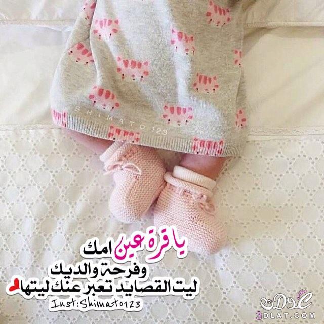 صور مولوده 10