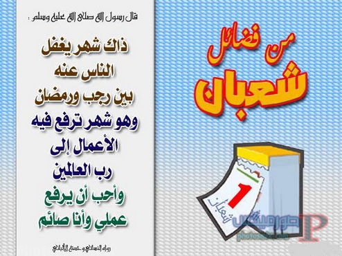 صور شعبان 10