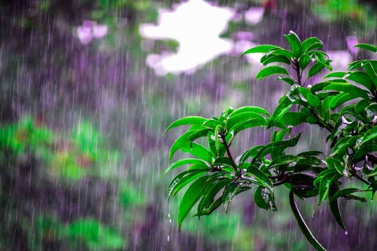 خلفيات امطار للواتس 10