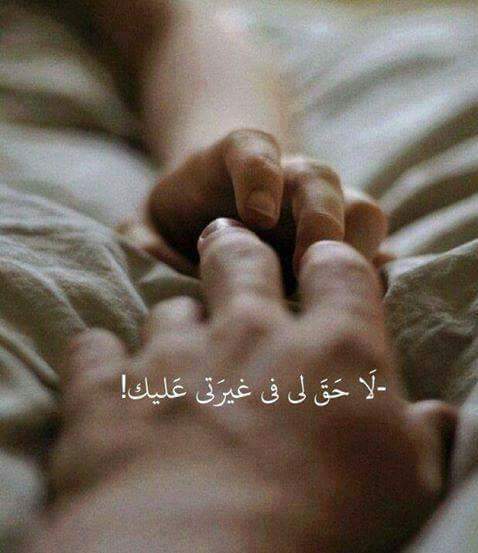 حكم مصورة روعه 11