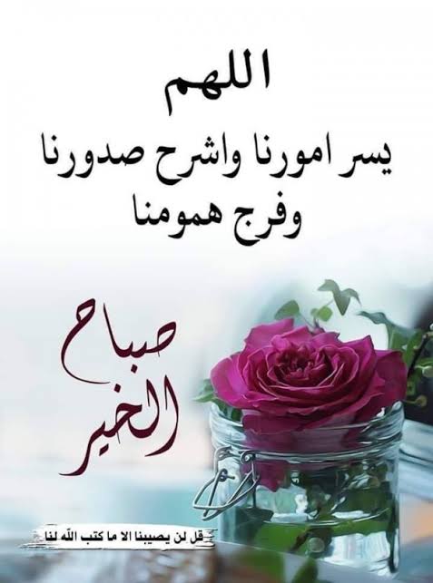 صورجميلة جديدة خلفيات5