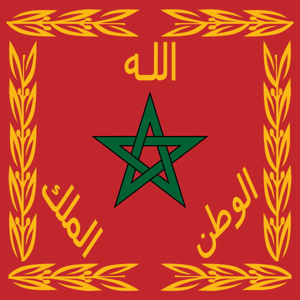 صور للوطن 11