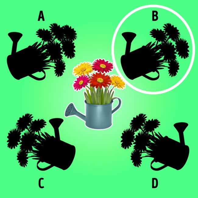 الغاز مصورة مع الحل 10