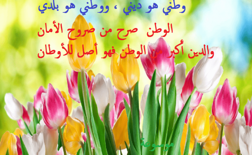 حب الوطن 6