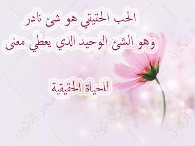ما هو الحب الحقيقي بالصور 11