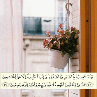 ايات قرآنية للواتس2