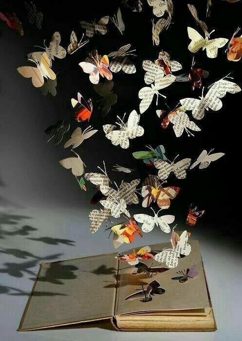 صور غريبة12