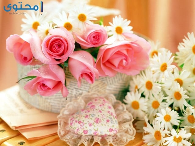 اجمل ورود الحب 13