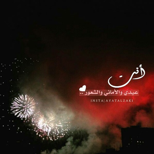 صور عيد الحب13