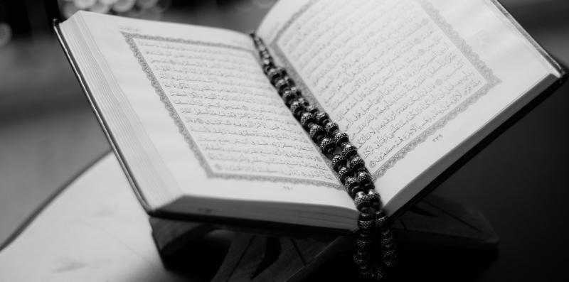 صور القرآن13