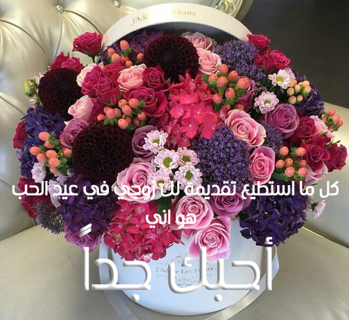 بوستات عيد الحب3