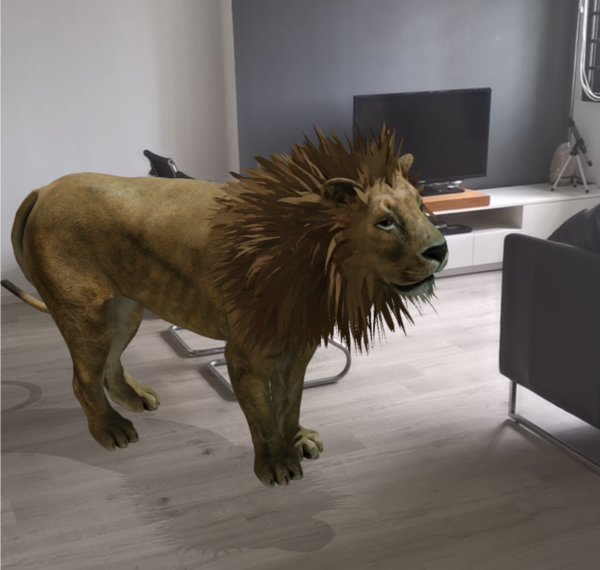 صور حيوانات 3d 12