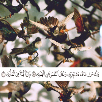 ايات قرآنية للواتس4