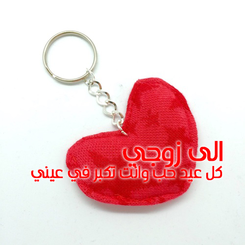 صور عيد الحب14