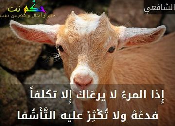 صورعن الصداقة المزيفة4