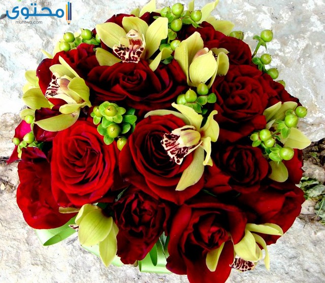 اجمل ورود الحب 15