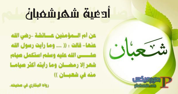 صور شعبان 15