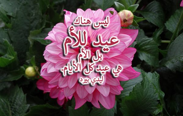عيد الام 15