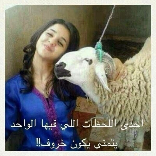 صور مضحكة
