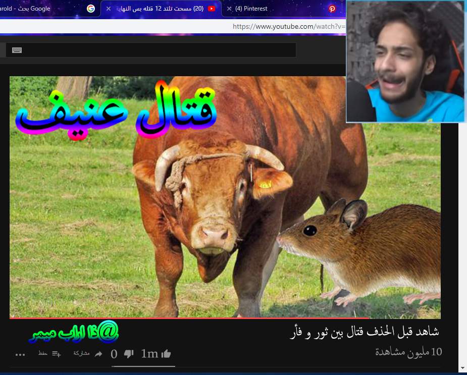 صور ميمز 15