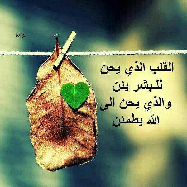 تنزيل صورمختلفة1