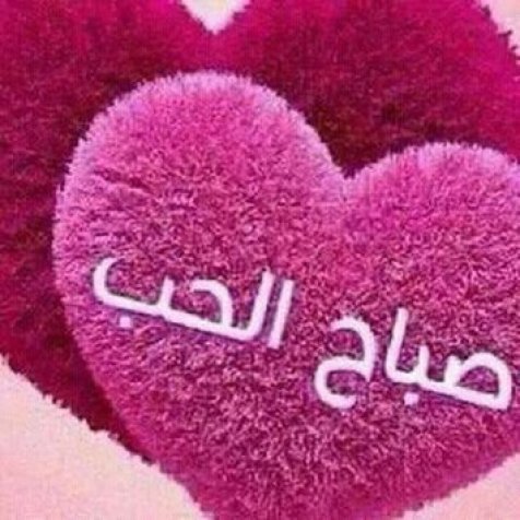 صباح الورد16