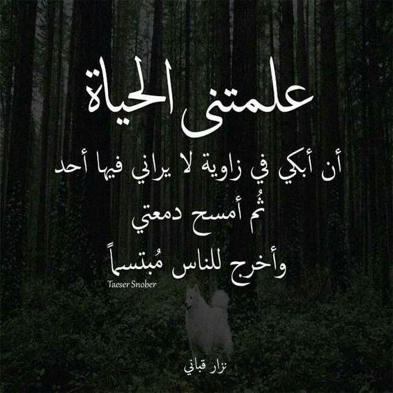 صور فراق16