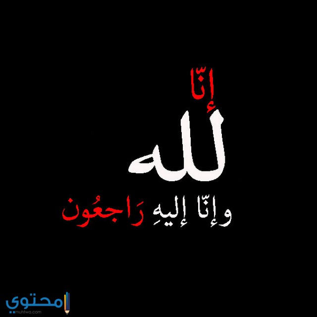 صور حداد16