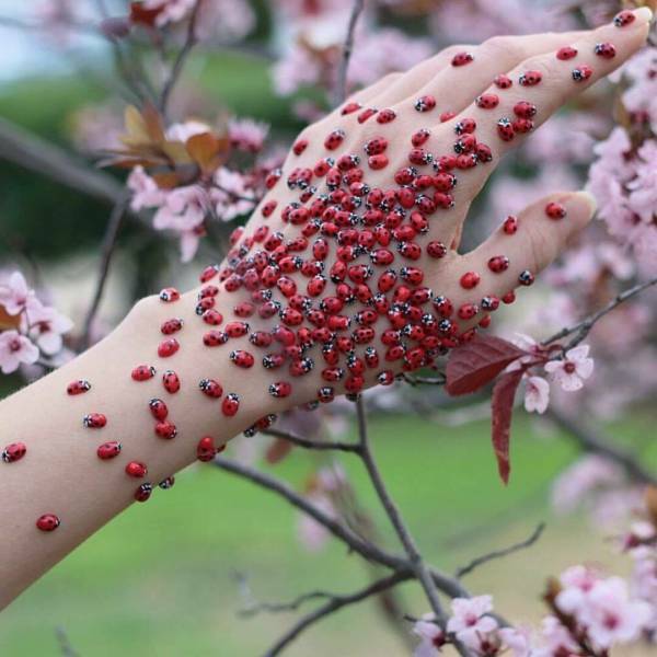 صور غريبة16