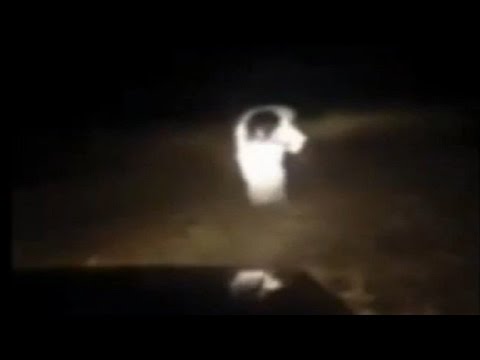 اشكال الجن الحقيقية6