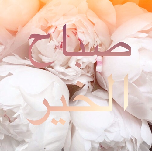 صباح الخير للاصدقاء بالصور1