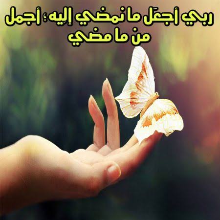 صورجميلة جديدة 2020 4