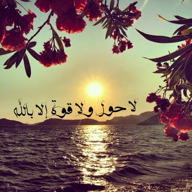 تنزيل صورمختلفة2