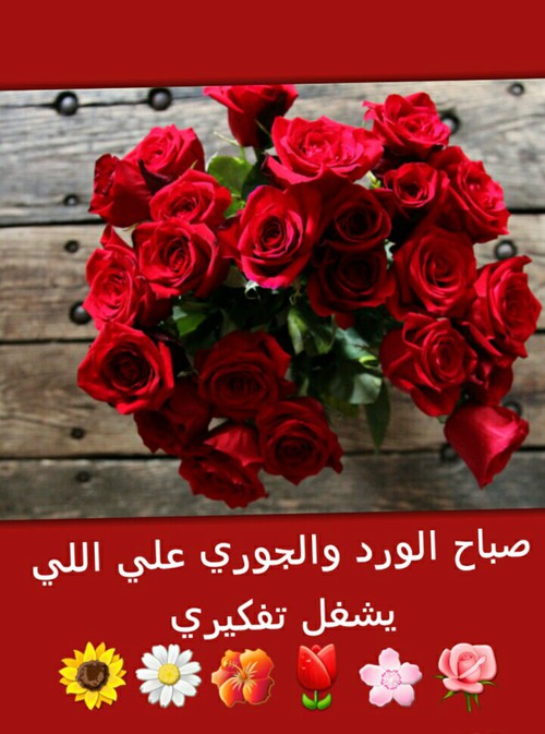 صباح الورد17