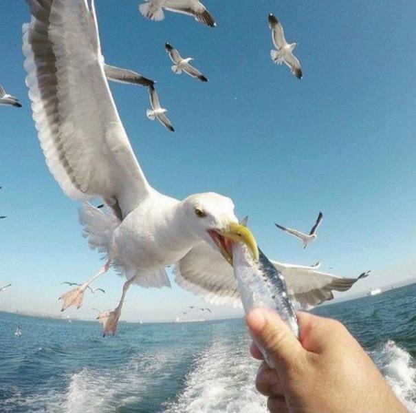 صور غريبة17