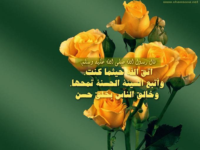 تنزيل صورمختلفة3