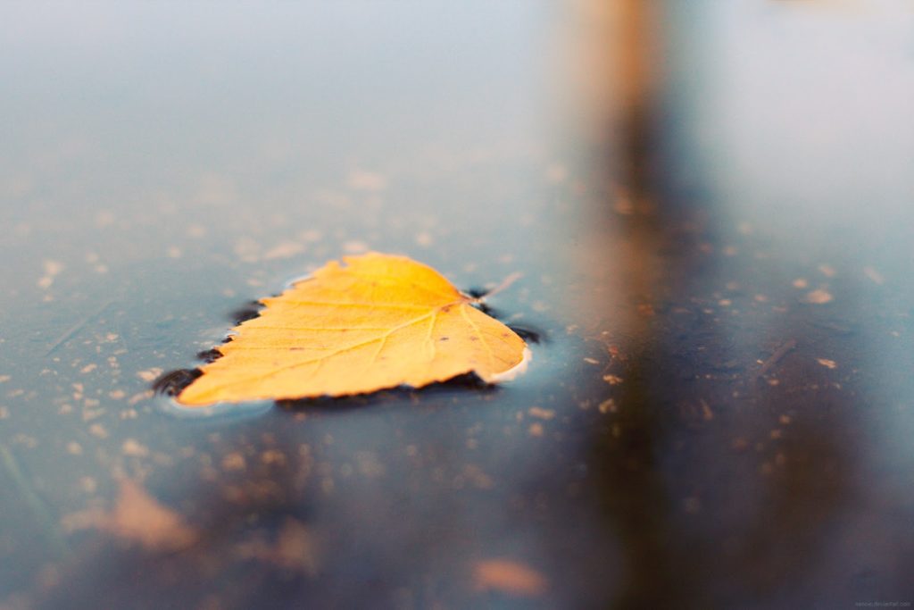تصوير احترافي8