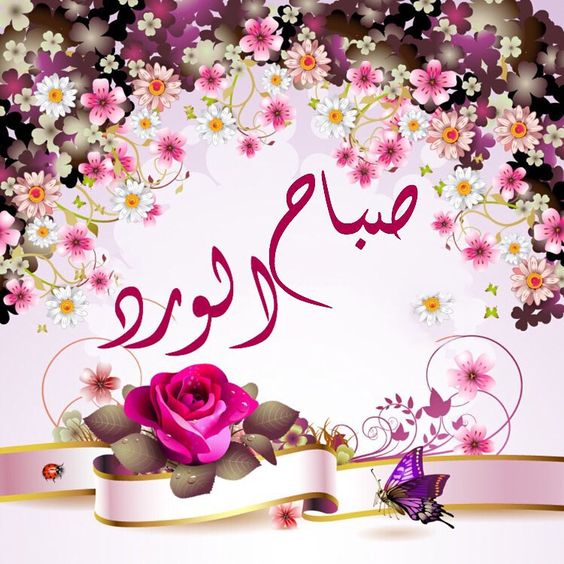 صباح الورد19